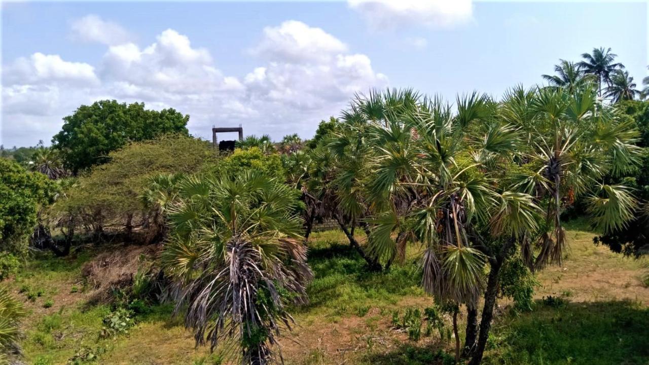 V-szameitat Homes, Kongo River *
